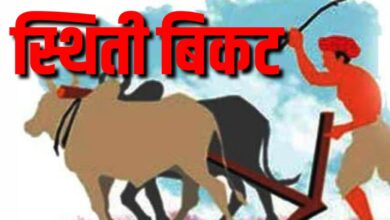 Photo of देशाच्या अन्नदात्याची अवस्था : कर्जाचा बोजा तसाच अन् दिवसाला सरासरी ४०० रू. ही उत्पन्न नाही